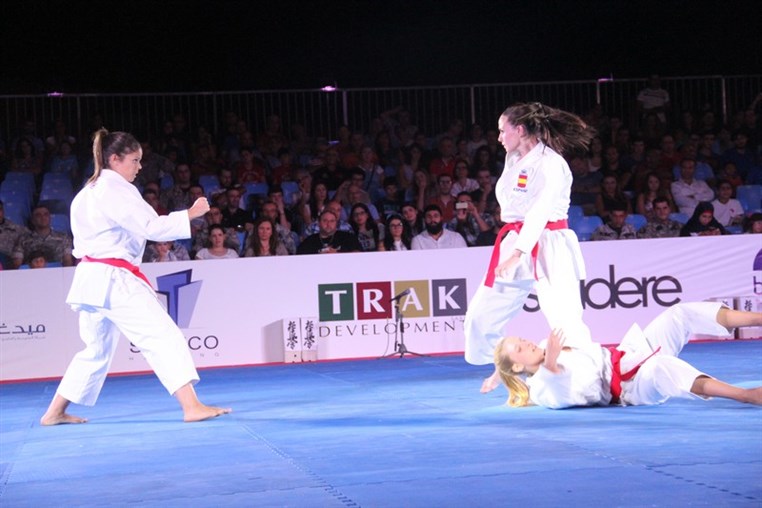 Martial Arts Festival